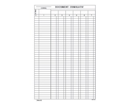 DOCUMENT CUMULATIV VERTICAL A4