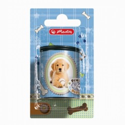 ASCUTITOARE DUBLA PLASTIC PRETTY PETS/BLISTER