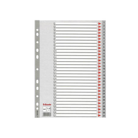 SEPARATOARE DIN PLASTIC ESSELTE A4 NUMERE 1-31