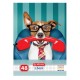 CAIET A5 48F PATRATELE COOL DOG