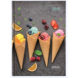 AGENDA A5 DATATA 352 FILE + 16 FILE ZENTANGLE MOTIV ICE CREAM 2019