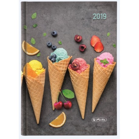 AGENDA A5 DATATA 352 FILE + 16 FILE ZENTANGLE MOTIV ICE CREAM 2019