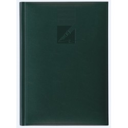 AGENDA A5 NEDATATA 224 FILE CULOARE VERDE