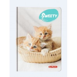 AGENDA A6 NEDATATA SWEETY 352 FILE MOTIV KITTENS