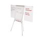 FLIPCHART MAGNETIC YOUNG EDITION PLUS 2 BRATE LATERALE 70x100 cm, MAGNETOPLAN