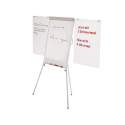 FLIPCHART MAGNETIC YOUNG EDITION PLUS 2 BRATE LATERALE 70x100 cm, MAGNETOPLAN