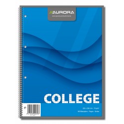 Caiet cu spirala, A4, 80 file - 70g/mp, 4 perforatii, coperti carton, AURORA College - matematica