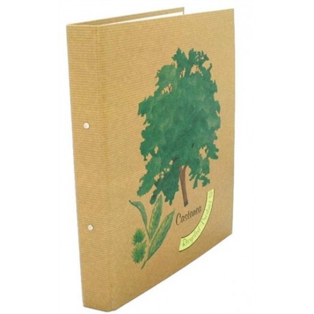 Caiet mecanic 2 inele, coperti carton reciclat laminat, A4, AURORA