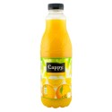 Cappy nectar portocala 1 L , 6 buc/bax
