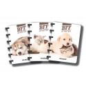 Caiet A6, 72 file - 90g/mp, coperta PP imagini animale, AURORA Adoc Pet collection - dictando