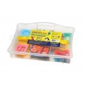 Kit 10 culori x 30gr plastelina + 2 forme modelaj + 3 spatule + roller, MOLIN