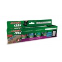 Vopsea acrilica metalizata, rezistenta la apa, 6 culoti/set + pensula gratuita, ALPINO Crea+