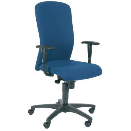 Scaun ergonomic cu spatar inalt si suport brate, EUROSEATS Paris