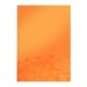 Caiet de birou LEITZ Wow, A4, coperta dura, portocaliu metalizat - matematica