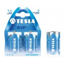 Baterii zinc carbon R20, 2 buc/set, Tesla Blue