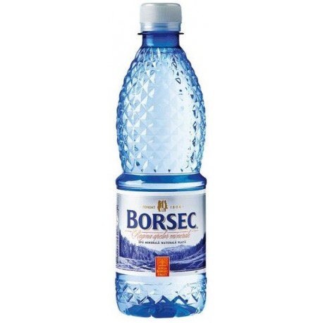 Apa plata Borsec 0.5 L, 12 buc/bax