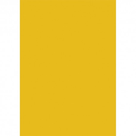 Carton color, Apli, 50x65, 170 g, 25 coli/top, galben auriu