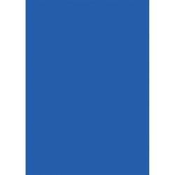 Carton color, Apli, 50x65, 170 g, 25 coli/top, bleu