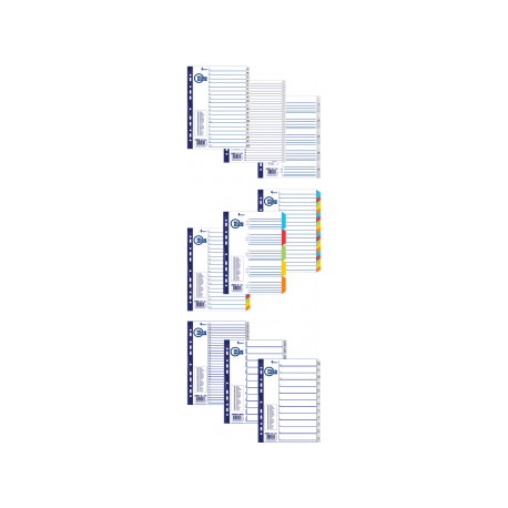 INDEX A4 PLASTIC 1-20 MAXI FORPUS 20453