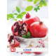 CAIET A4 80F PATRATELE FRESH FRUIT