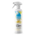 Odorizant camera, cu pulverizator, 500 ml, Clinex Sunny Day
