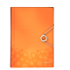Mapa tip Proiect LEITZ Wow, PP - portocaliu metalizat