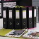 Biblioraft A4, plastifiat PP/PP, 80 mm, OXFORD MyColour - negru/verde deschis