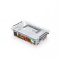 Cutie plastic pt alimente, cu manere si capac, 29x20x8cm, NANOBOX - capacitate 3.1L