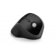 Mouse vertical Kensington ProFit, conexiune wireless, dimensiune mare, negru