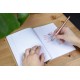 Set stilou caligrafie SCHNEIDER Callissima, cutie cadou, 3 capete stilou+6 rezerve cerneala-piersica