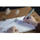 Set stilou caligrafie SCHNEIDER Callissima, cutie cadou, 3 capete stilou+6 rezerve cerneala-menta