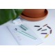 Set stilou caligrafie SCHNEIDER Callissima, cutie cadou, 3 capete stilou+6 rezerve cerneala-menta