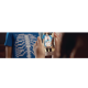 Tricou pentru copii AR (Realitate Augmentata), Curiscope Virtuali Tee, Corpul uman, marimea L