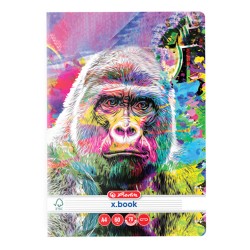 CAIET A4 60 FILE COLOR ANIAMLS DICTANDO