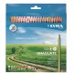 Creioane colorate LYRA Graduate Graphite, 24 culori/cutie