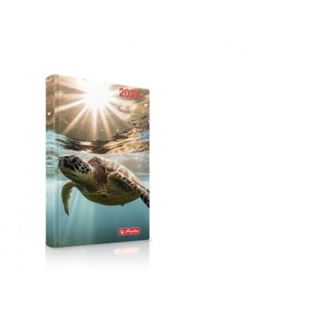 AGENDA DATATA A5, MOTIVE, 352 FILE, COPERTA BURETATA, MOTIV TURTLE 2024
