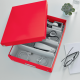 Cutie depozitare LEITZ WOW Click&Store Organizer, carton laminat, cu capac, 28x10x37 cm, rosu