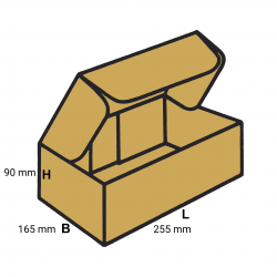 Cutie autoformanta cu clapeta din carton CO3,dim 255x165x90mm,structura CTFT 420g