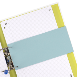 SEPARATOARE CARTON OXFORD 10.5X24CM, 190G/MP MANILA, BLUE ANGEL, 2 PERFORATII PE LATIME, SET 100 FILE, CULOARE ALBASTRU
