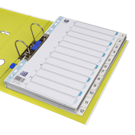 INDEX PLASTIC NUMERIC OXFORD A4 1-12, 12 FILE/SET, 11 PERFORATII PENTRU INDOSARIERE, INCLUDE CUPRINS, CULOARE ALB