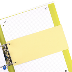 SEPARATOARE CARTON OXFORD 10.5X24CM, 190G/MP, BLUE ANGEL, 2 PERFORATII PE LATIME, SET 100 FILE, CULOARE GALBEN