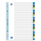 INDEX PLASTIC NUMERIC OXFORD A4 1-31, 31 FILE/SET, 11 PERFORATII PENTRU INDOSARIERE, INCLUDE CUPRINS, CULORI ASORTATE
