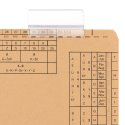 PORTETICHETE DOSAR SUSPENDAT ELBA, 13X50MM, PVC TRANSPARENT, SET 72 BUCATI