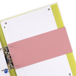 SEPARATOARE CARTON OXFORD 10.5X24CM, 190G/MP, BLUE ANGEL, 2 PERFORATII PE LATIME, SET 100 FILE, CULOARE ROSU
