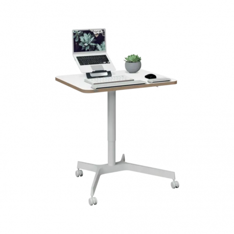 Birou ergonomic LEITZ Ergo, pneumatic, ajustabil pe inaltime, pentru pozitia sezut/ in picioare, alb
