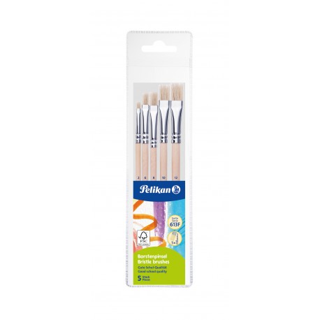 SET 5 PENSULE STARTER (SERIA 613F: 2, 4, 8, 10, 12), PREZENTARE PE BLISTER