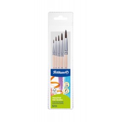 SET 5 PENSULE STARTER (SERIA 24: 2, 4, 8, 10, 12), PREZENTARE PE BLISTER