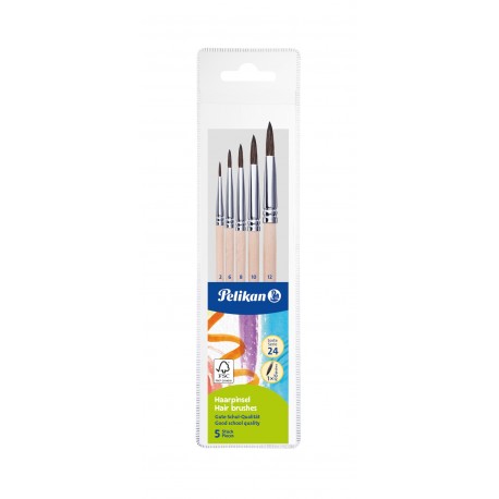 SET 5 PENSULE STARTER (SERIA 24: 2, 4, 8, 10, 12), PREZENTARE PE BLISTER