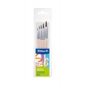 SET 5 PENSULE STARTER (SERIA 24: 2, 4, 8, 10, 12), PREZENTARE PE BLISTER