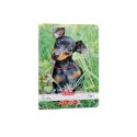 CAIET A5 36 FILE, TIP I, HARTIE 80G/MP FSC MIX, MOTIV CATS DOGS